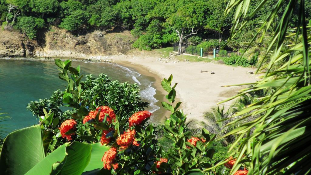 Anse Figuier Gites De France Terre-De-Haut Pokój zdjęcie